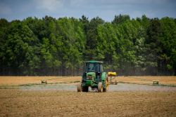 Nueva normativa del SAG sobre aplicación de plaguicidas genera criticas en la agroindustria.