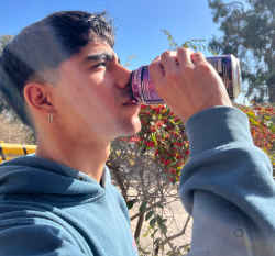 Seremi de Salud advierte sobreriesgos de consumo de bebidas energeticas en los jovenes.