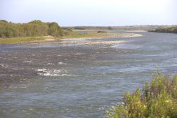 JVRCH INICIARÁ NUEVA ETAPA DE ESTUDIO EN EL HUMEDAL LAS SALINAS DE HUENTELAUQUÉN PARA ASEGURAR EL EQUILIBRIO ECOSISTÉMICO